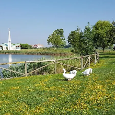 Apartmán Tamerici Lido Altanea